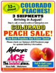 Colorado Peaches Pre Order  Full or Half Lug - Image 2